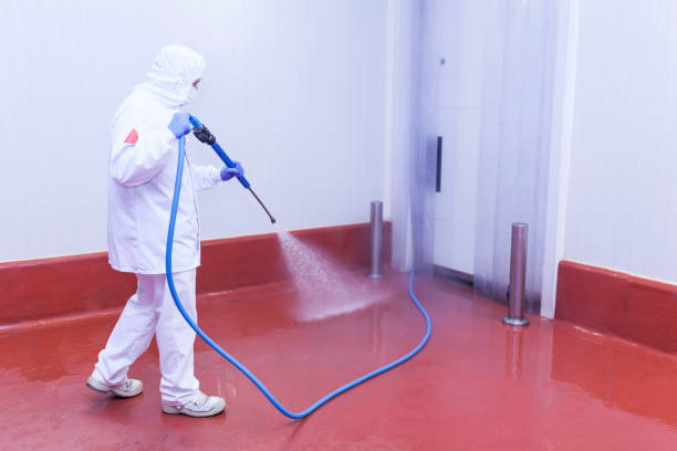 Best Sidewalk and Walkway Cleaning  in Hewitt, TX